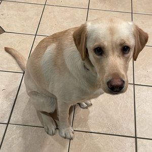 Meet your Posher, Terry